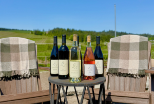 Backyard Bliss Bundle