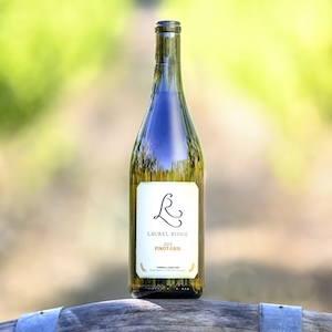 Estate Pinot Gris