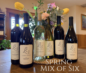 Backyard Bliss Bundle