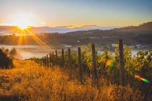 Harvest Dinner: October 4th, 2025