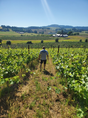 Vineyard Hike & Brunch August 30th & 31st