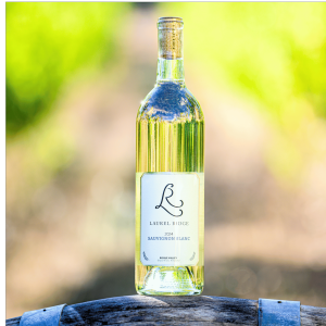 Sauvignon Blanc